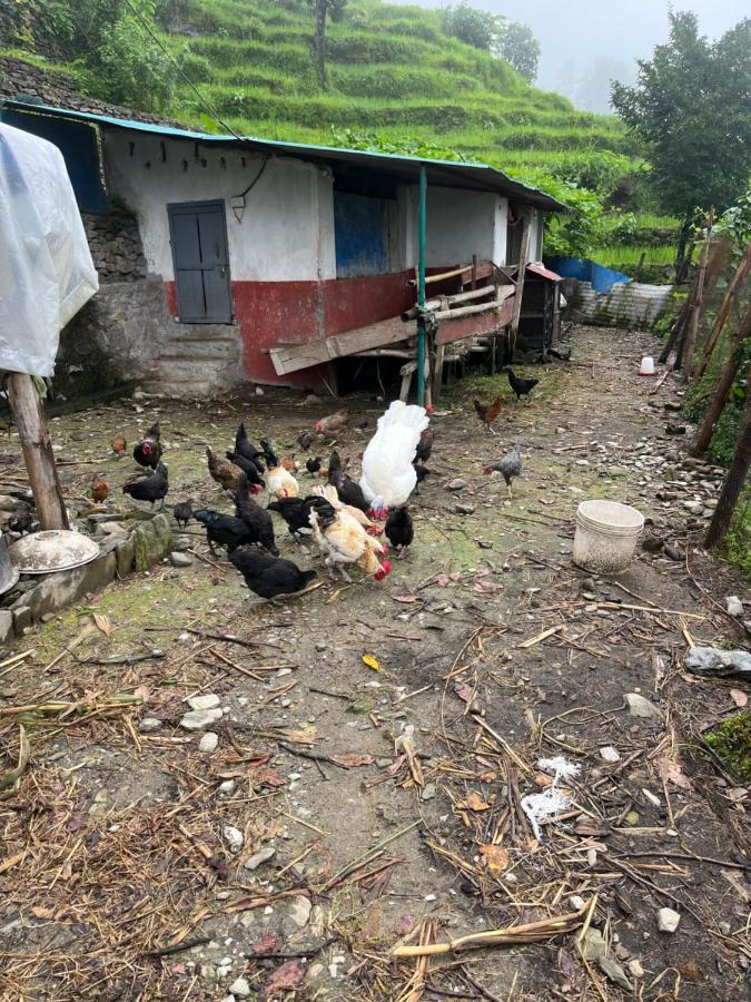 The North Face Inn'S Homestay Pokhara Extérieur photo